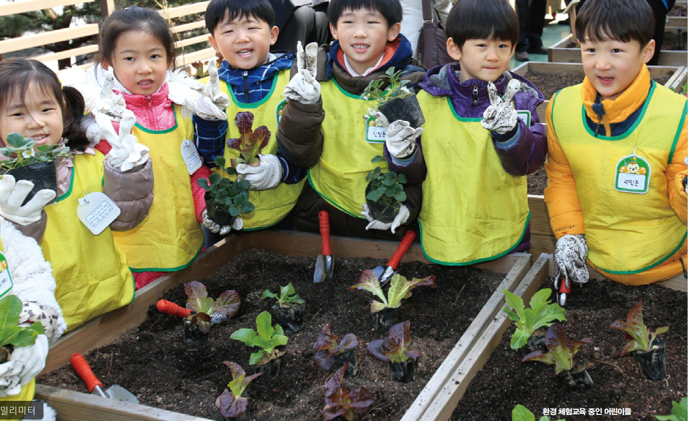 폼알데하이드를 기준치 아래로 만드는 것을 목표로 하는 어린이집의 어린이들이 텃밭에서 상추를 캐는 사진