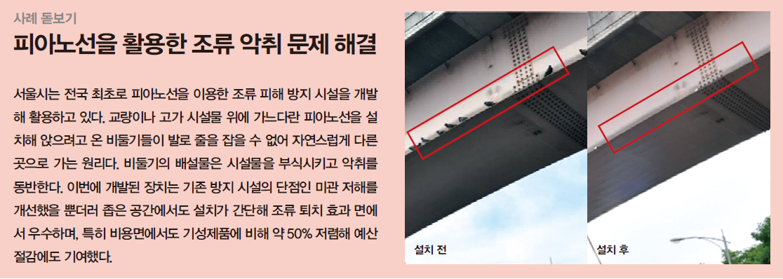 피아노선을 활용한 조류 악취 문제 해결을 보여주는 사례이다. 서울시에서 피아노선을 이용하여 조류 피해 방지 시설을 개발하여 문제를 완화하였다.