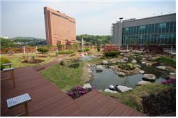 동국대학교 동국관 옥상의 녹화한 모습이다.