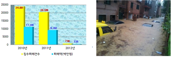 저지대에 위치한 지하주택의 침수비율이 높으며 2010년 24,061건으로 피해액은 11,220백만 원이었다. 지하주택의 침수피해가 극심한 모습을 보여주는 사진이다.